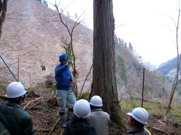 2010伐採見学ツアーのご案内