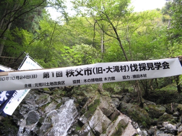 伐採見学ツアー開催しました
