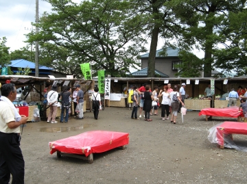 「元荒川和船まつり」開催について