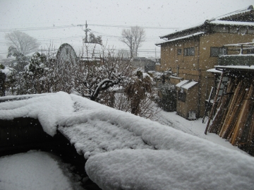 雪が降りました