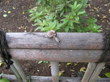 梅雨の時期と、自然素材