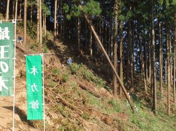木力館伐採見学ツアーのご案内（その２）
