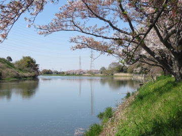 元荒川、末田須賀堰の水門が閉まりました